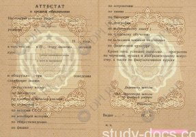 Аттестат 8 классов Аттестат 8 классов в Абакане