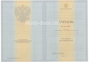 Диплом специалиста 2012-2013 в Абакане